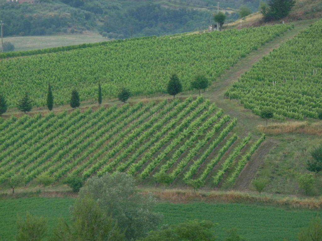 Azienda Agricola Ed Agrituristica Cafaggio San Miniato Exterior foto